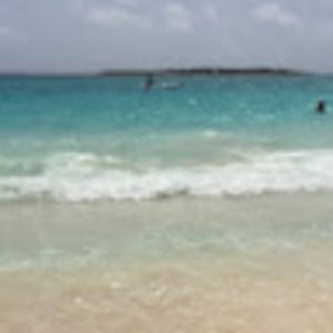 Meet your Posher, Eileen